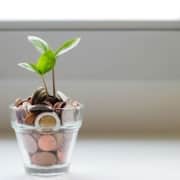 A small green plant poking out of a jar of coins. Representing that we can help you with SEO services if you don't want to tackle it alone! Explore our options on our site.