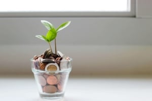 A small jar of coins with a plant poking out. Representing that you can pay someone for SEO if you don't want to to it alone! We offer SEO services to help therapists like you. 