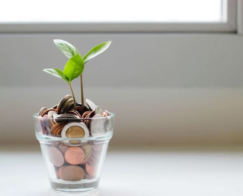 A small green plant poking out of a jar of coins. Representing that we can help you with SEO services if you don't want to tackle it alone! Explore our options on our site.