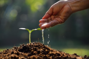 A green plant sprouting from the ground with a hand cupping water. SEO for functional medicine can help your wellness site rank higher on Google. Reach your ideal clients who need you most. 