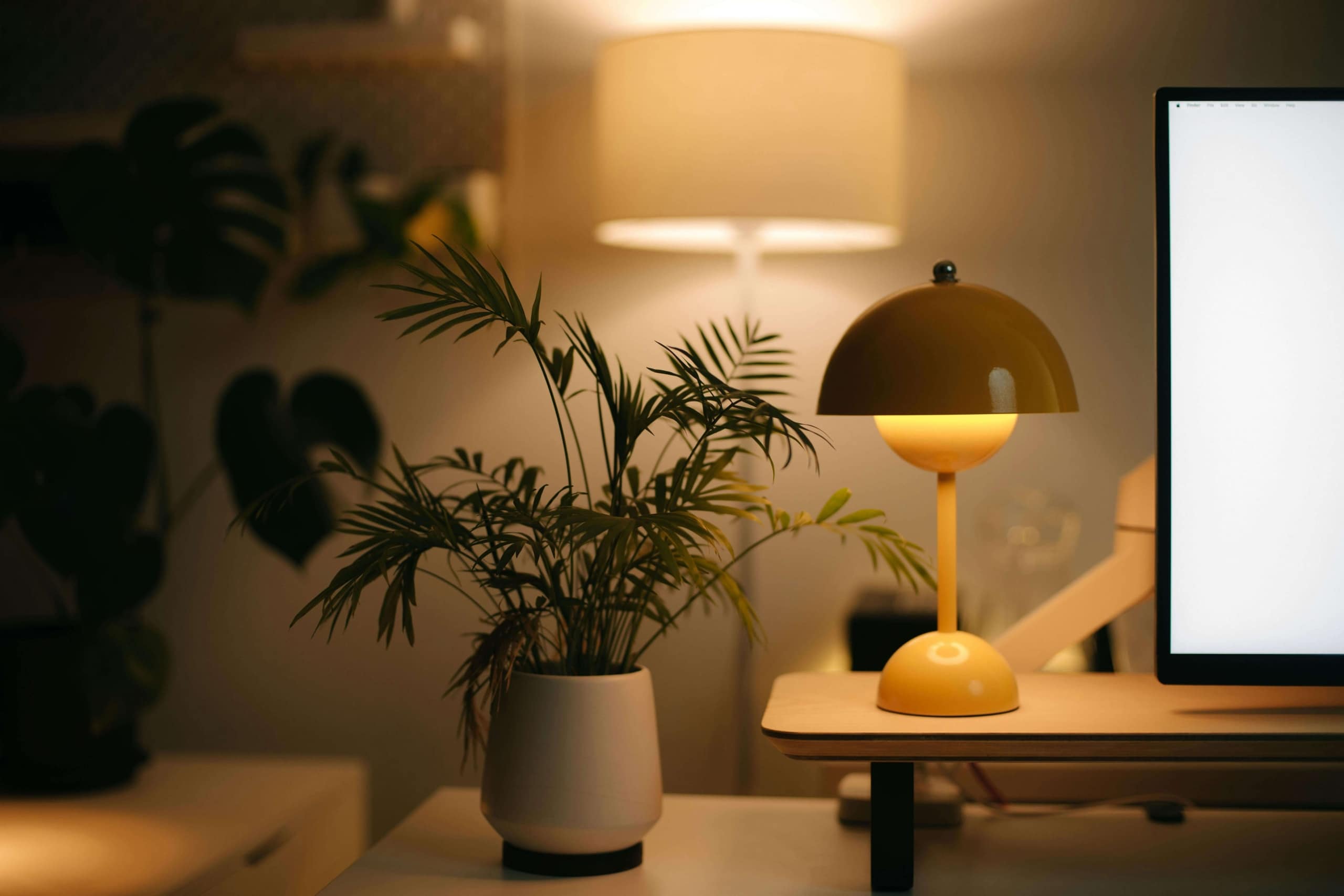 A warm, calming workspace with plants and soft lighting, symbolizing the balance and mindfulness that effective SEO for holistic health and wellbeing can help providers showcase online.