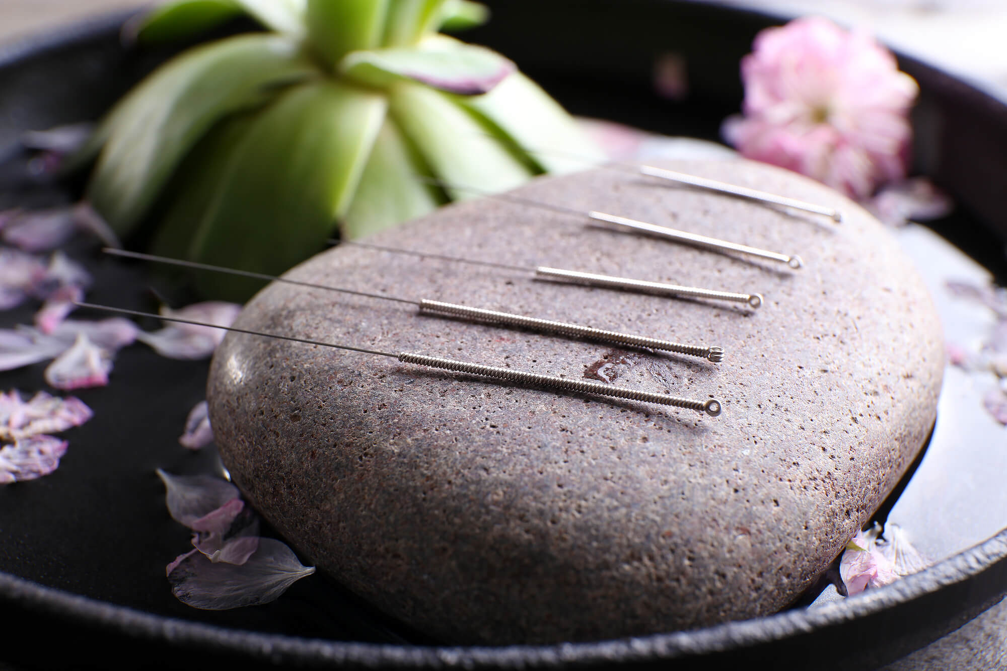 Acupuncture needles arranged on a stone next to soft petals reflect the precision and balance central to SEO for functional medicine. Are you wondering whether an SEO consulting firm can elevate your clinic’s reach? Strategic optimization helps integrative practices stand out online.