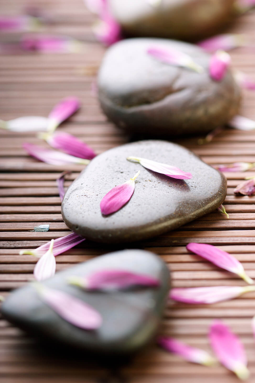 A set of smooth stones with scattered petals rests on a bamboo mat, symbolizing holistic calm in integrative medicine SEO. Are you exploring how SEO consulting services can connect more clients with whole-body care? Strong content helps clinics highlight their healing approach.