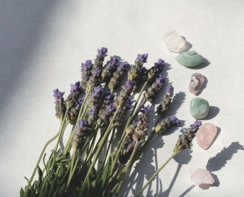 Lavender flowers and crystals rest in sunlight, symbolizing calm and harmony. Using wellness SEO helps alternative healers attract clients online. An SEO consultant can optimize content to connect holistic practices with mindful audiences.