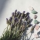 Lavender flowers and crystals rest in sunlight, symbolizing calm and harmony. Using wellness SEO helps alternative healers attract clients online. An SEO consultant can optimize content to connect holistic practices with mindful audiences.