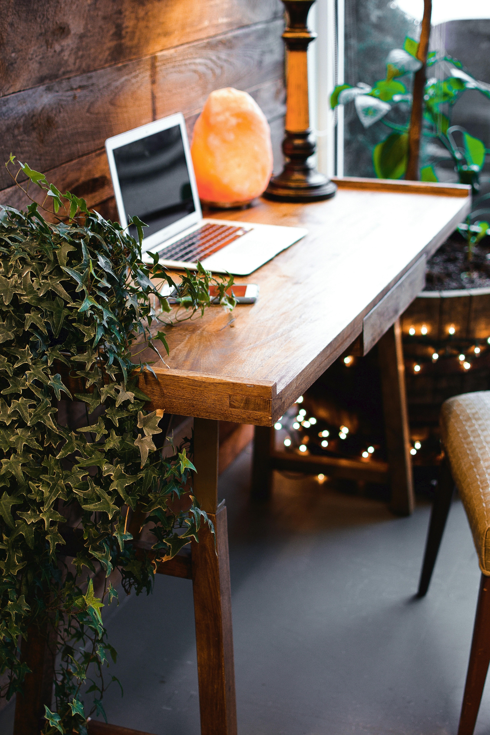 A tidy home workspace with a laptop, plants, and warm lighting conveys focus, credibility, and approachability. The setting reflects how SEO helps build trust by creating a polished, reliable digital experience. Strategic optimization strengthens Homeopathy SEO and patient confidence.