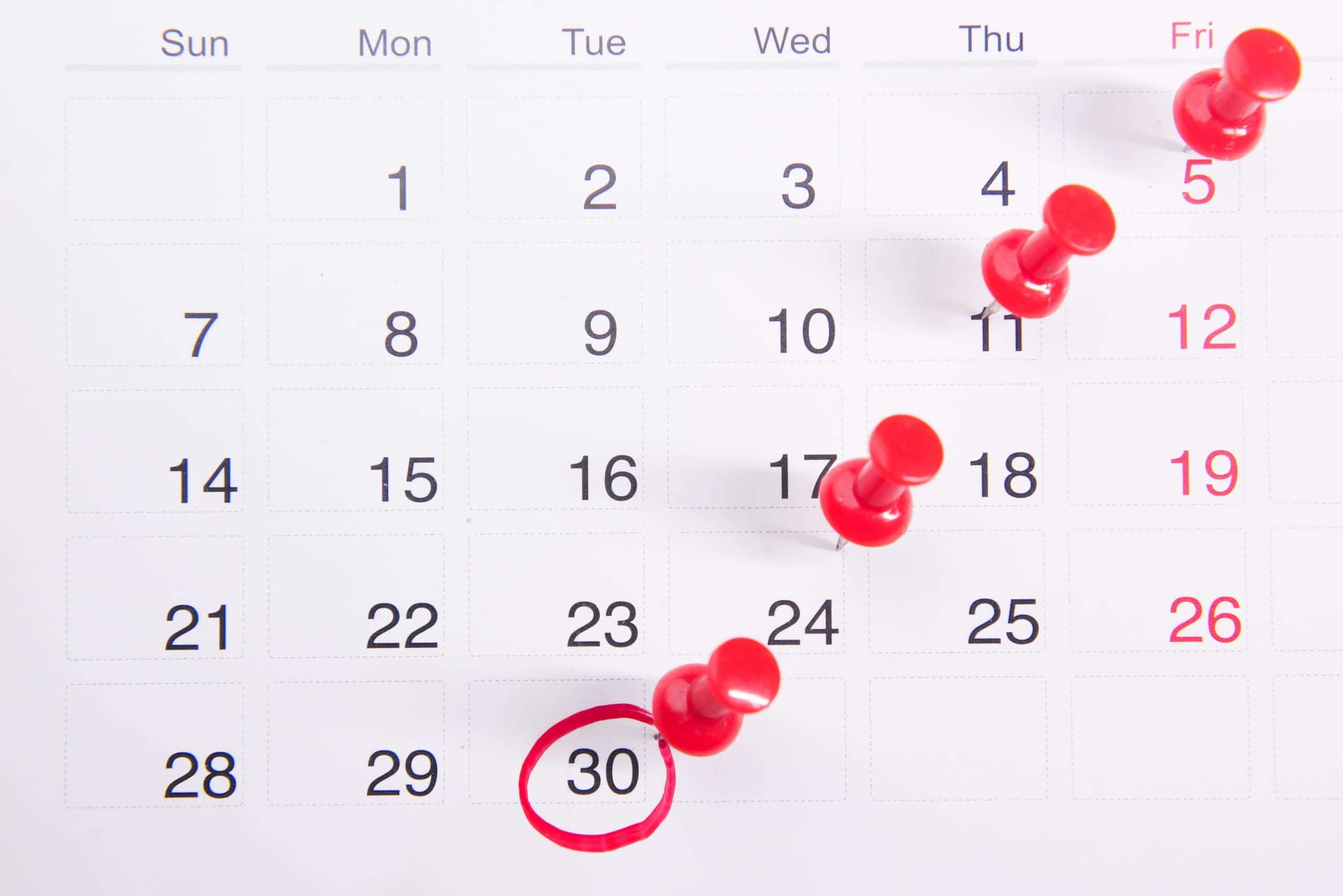 A calendar displays marked dates and scheduled reminders throughout the month. How can consistent blogging support long-term visibility and growth for your therapy practice? Seo services for therapists help turn regular posts into lasting search traffic.
